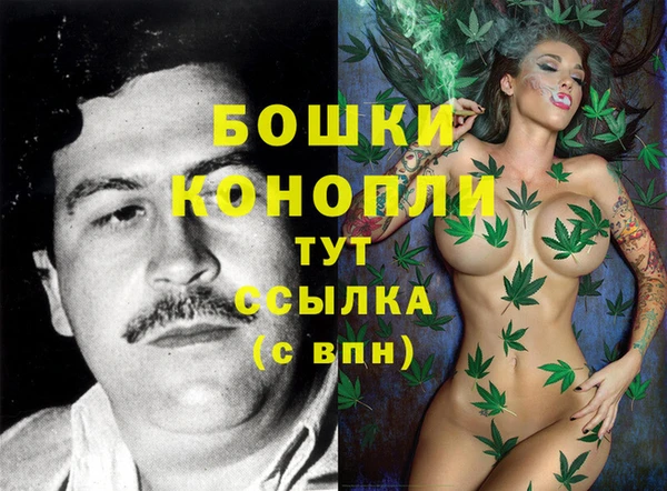 PSILOCYBIN Абдулино