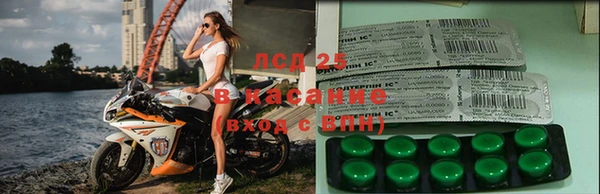 PSILOCYBIN Абдулино